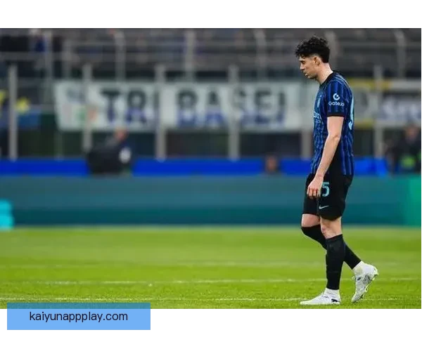 心理专家解析：无缘世界杯的国米球员或感自责需要及时心理疏导和支持